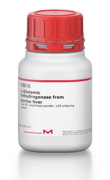 ?-Glutamic Dehydrogenase from bovine liver