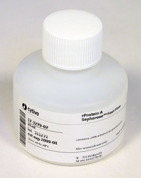 rProtein A Sepharose™ Fast Flow