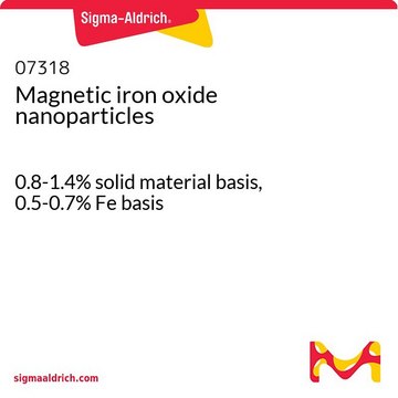 Magnetic iron oxide nanoparticles