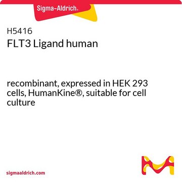 FLT3 Ligand human