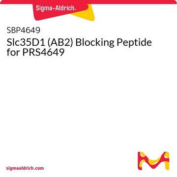Slc35D1 (AB2) Blocking Peptide for