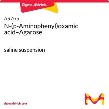 N-(p-Aminophenyl)oxamic acid–Agarose
