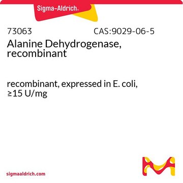 Alanine Dehydrogenase, recombinant