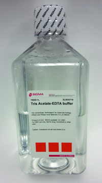 Tris Acetate-EDTA buffer