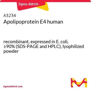Apolipoprotein E4 human