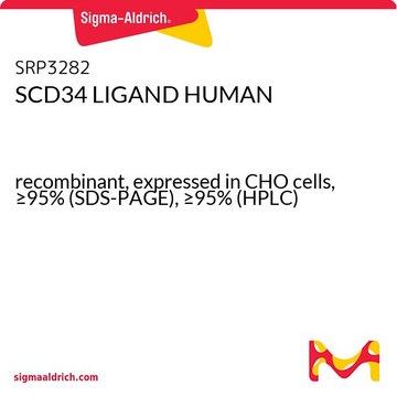 SCD34 LIGAND HUMAN    