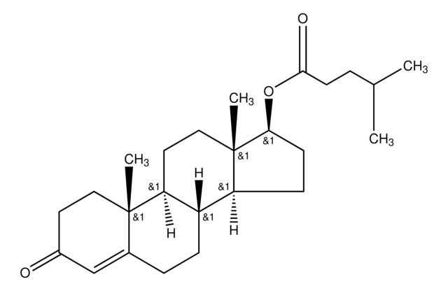 Testosterone isocaproate for system suitability