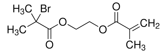 2-(2-Bromoisobutyryloxy)ethyl methacrylate