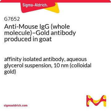 Anti-Mouse IgG (whole molecule)–Gold antibody