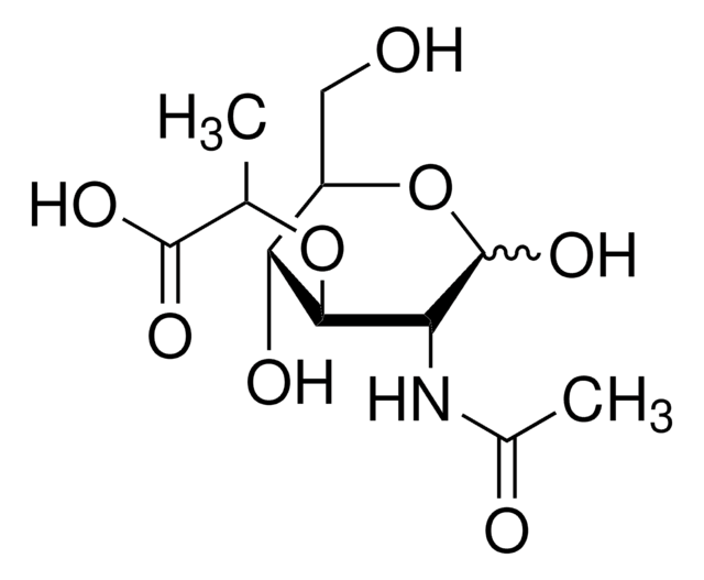 N-Acetylmuramic acid
