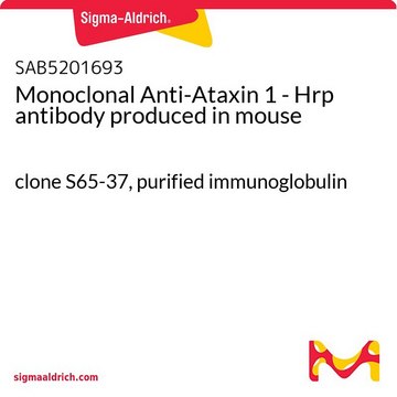 Monoclonal Anti-Ataxin 1 - Hrp