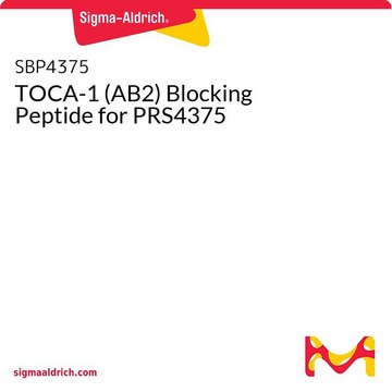 TOCA-1 (AB2) Blocking Peptide for