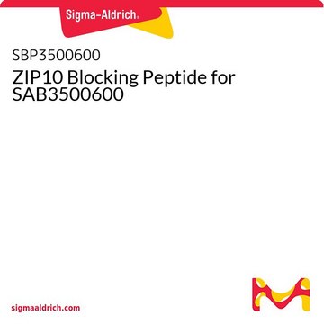 ZIP10 Blocking Peptide for SAB3500600