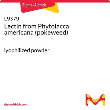 Lectin from Phytolacca americana (pokeweed)