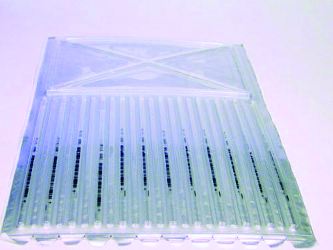 Immobiline® Drystrip pH 3-11 NL,