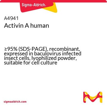 Activin A human
