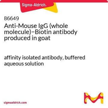 Anti-Mouse IgG (whole molecule)?Biotin antibody