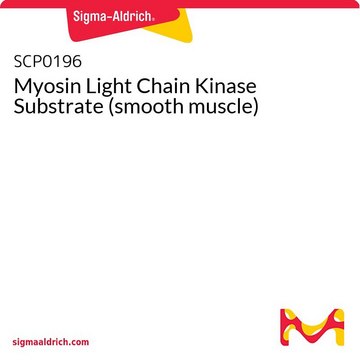 Myosin Light Chain Kinase Substrate