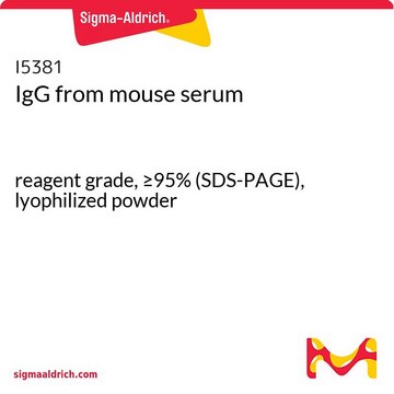 IgG from mouse serum