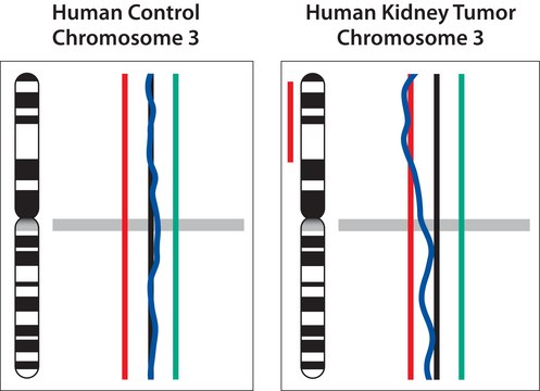 GenomePlex® Single Cell Whole Genome