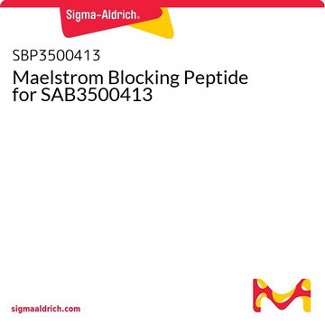 Maelstrom Blocking Peptide for SAB3500413