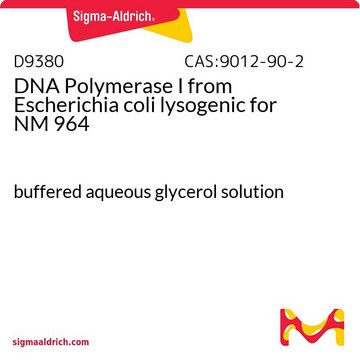 DNA Polymerase I from Escherichia