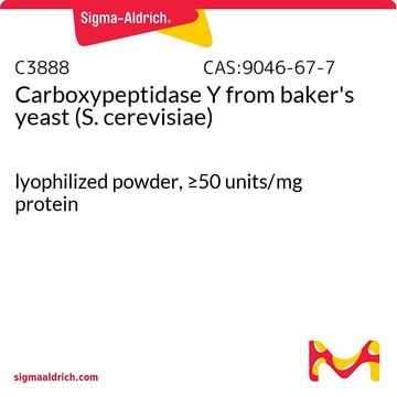 Carboxypeptidase Y from baker’s yeast (S. cerevisiae)