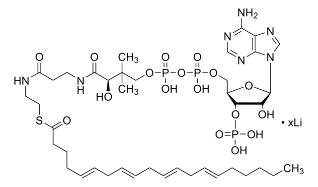 Arachidonoyl coenzyme A lithium salt