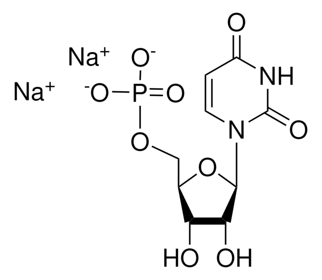 DISODIUM 5'-URIDYLATE, UNITED STATES PHA