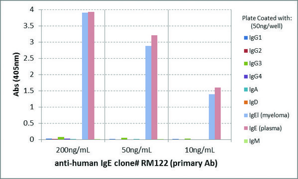 Anti-Human IgE-Biotin antibody, Rabbit monoclonal