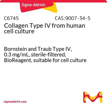 Collagen Type IV from human