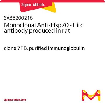 Monoclonal Anti-Hsp70 - Fitc antibody