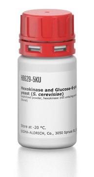 Hexokinase and Glucose-6-phosphate Dehydrogenase from