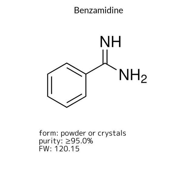Benzamidine
