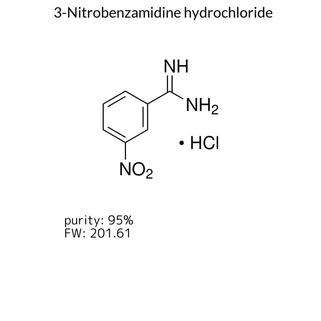 3-Nitrobenzamidine hydrochloride