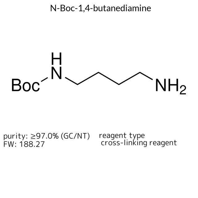 N-Boc-1,4-butanediamine