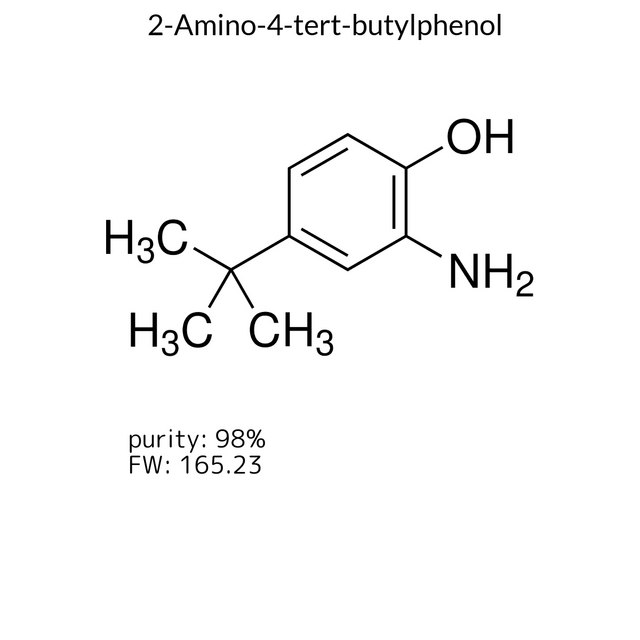 2-Amino-4-tert-butylphenol