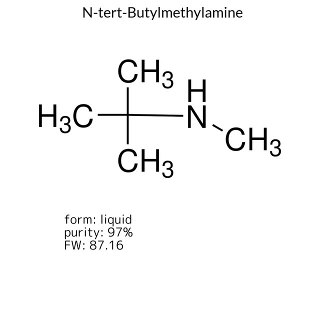 N-tert-Butylmethylamine