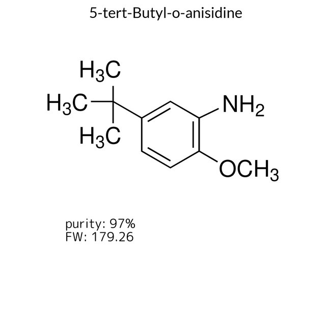 5-tert-Butyl-o-anisidine