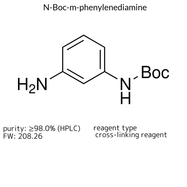 N-Boc-m-phenylenediamine