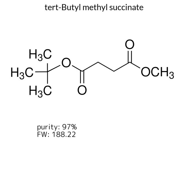 tert-Butyl methyl succinate