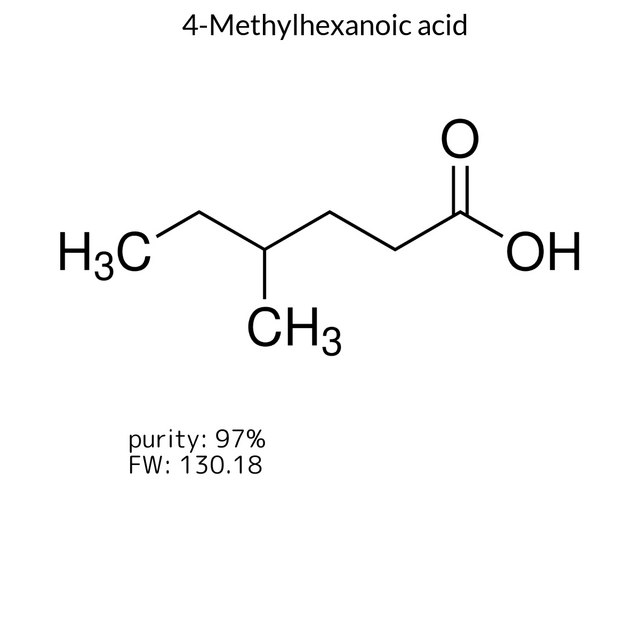 4-Methylhexanoic acid