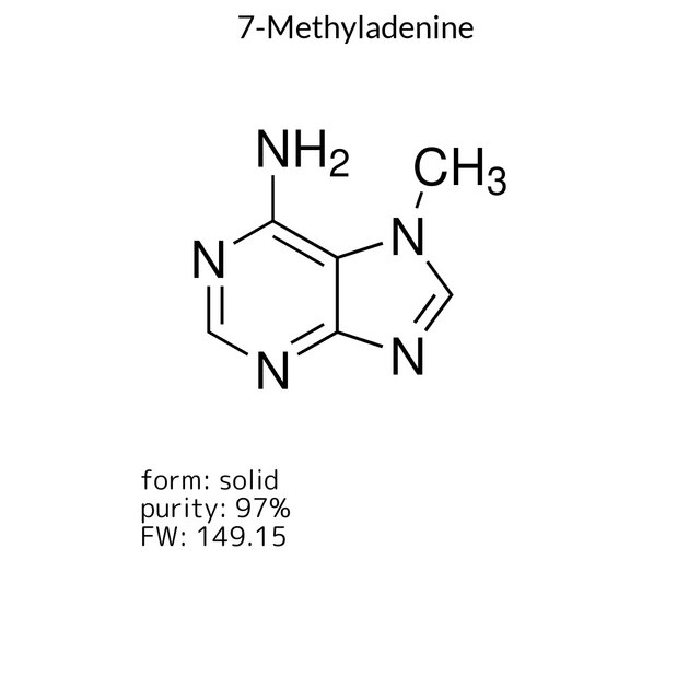 7-Methyladenine