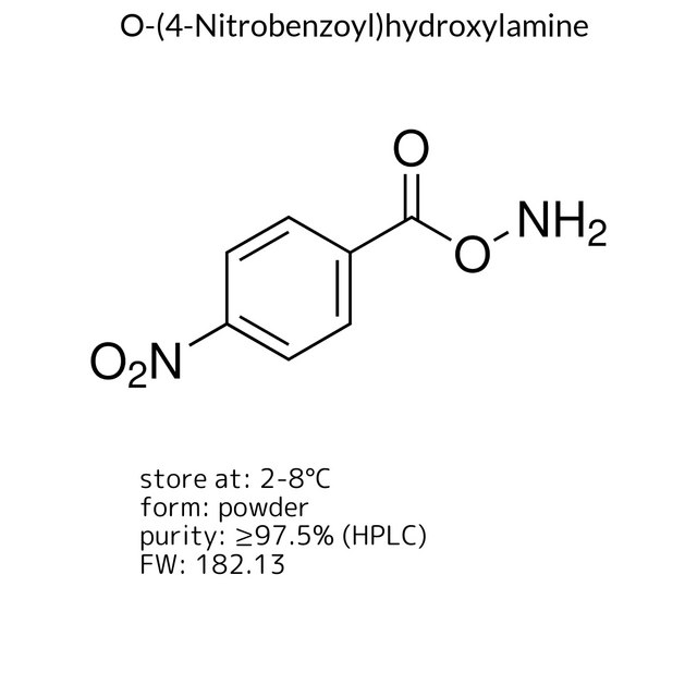 O-(4-Nitrobenzoyl)hydroxylamine
