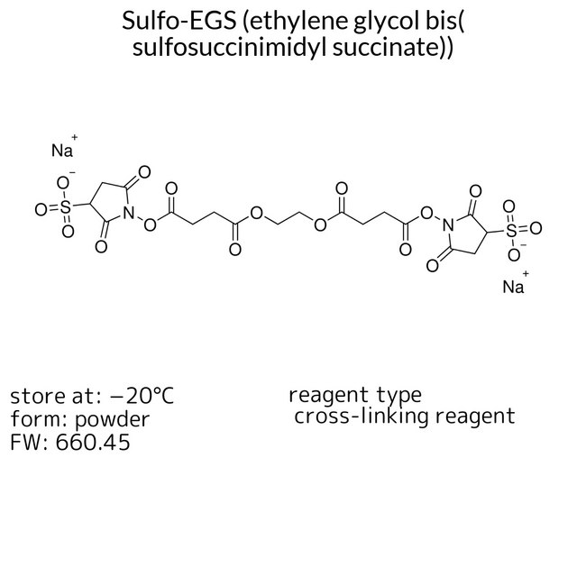 Sulfo-EGS (ethylene glycol bis(sulfosuccinimidyl succinate))