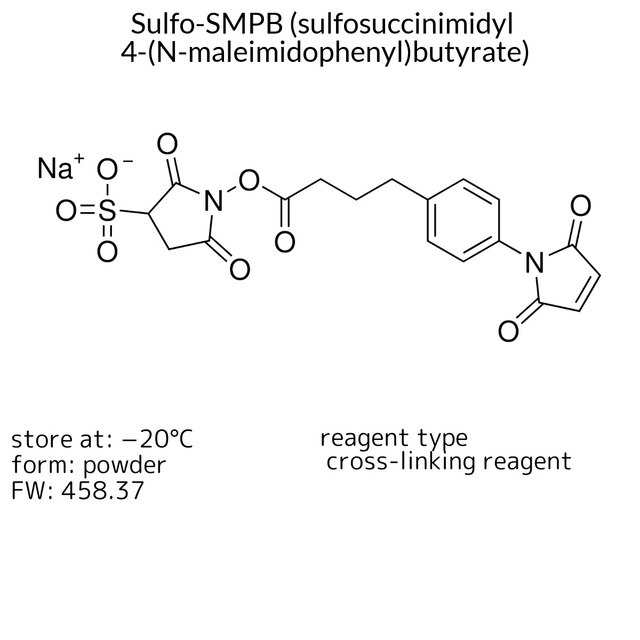 Sulfo-SMPB (sulfosuccinimidyl 4-(N-maleimidophenyl)butyrate)