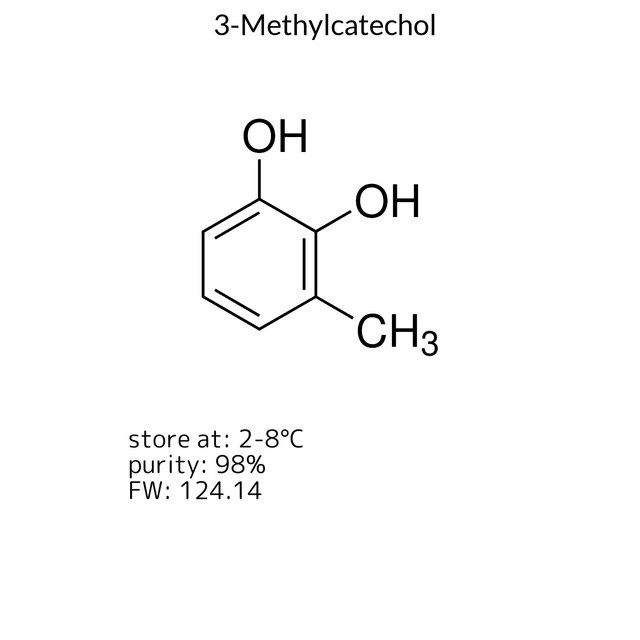 3-Methylcatechol