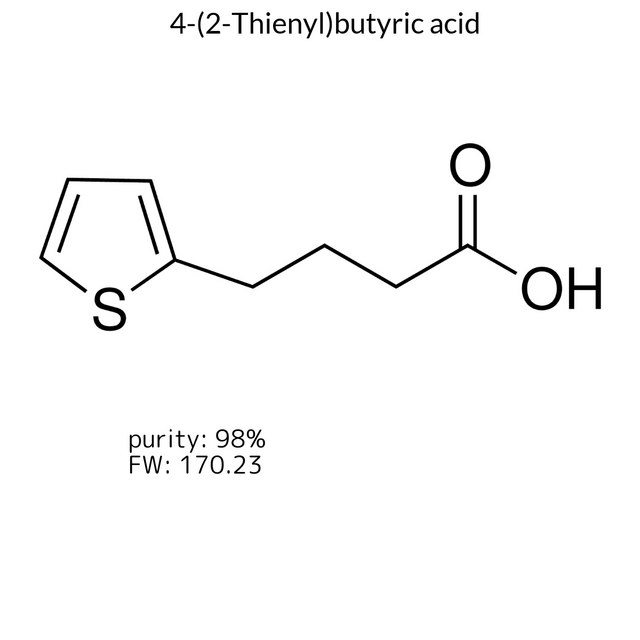 4-(2-Thienyl)butyric acid