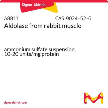 Aldolase from rabbit muscle
