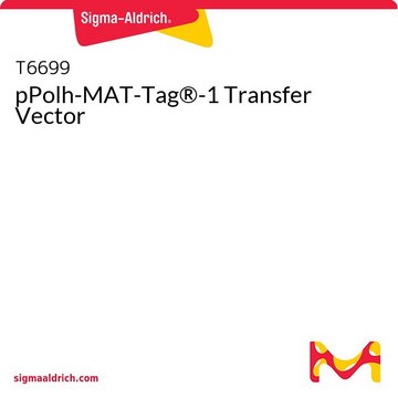 pPolh-MAT-Tag®-1 Transfer Vector